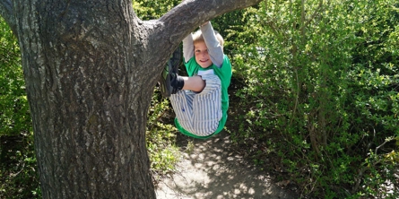 Dreng hænger i et træ